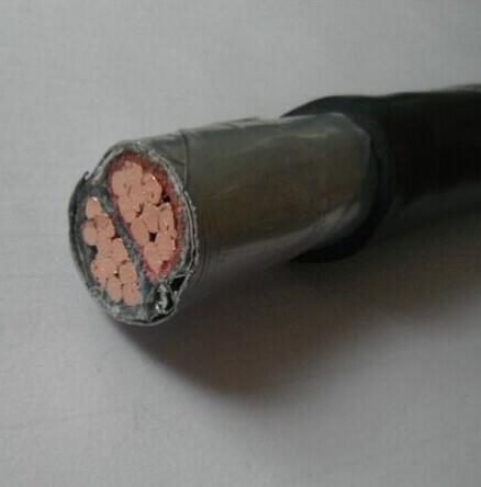 無鹵低煙阻燃電力電纜WDZ-YJY